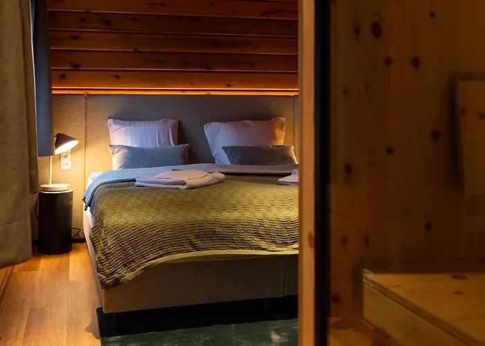 Дом отдыха Alm-lodge 2 Клаусталь-Целлерфельд